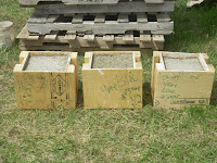 Three samples of hempcrete mixtures tested for durability and curing time.
MVG