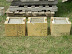 Three samples of hempcrete mixtures tested for durability and curing time.
MVG