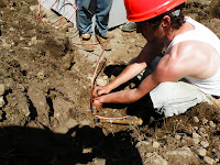 Bernat and Brad are helping lay down copper wire. MVG