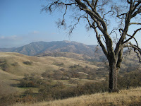 IMG_1173.jpg