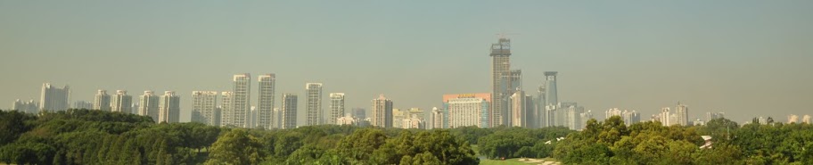 Skyline Shenzel