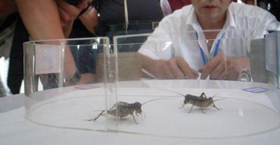 [Img245640625[4].jpg]