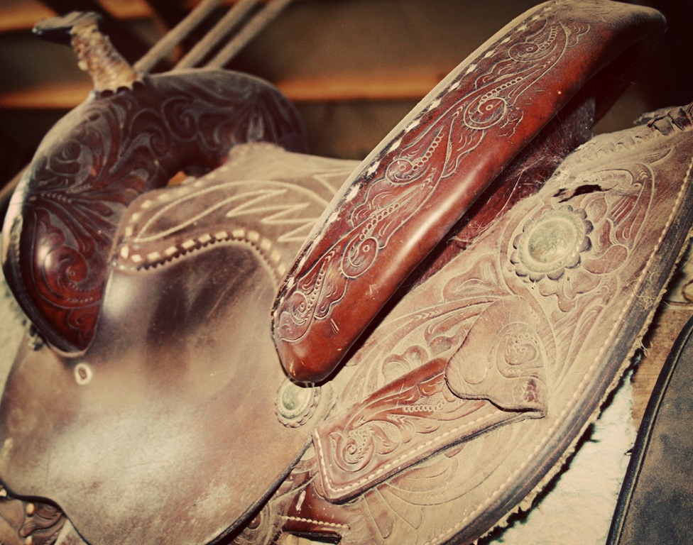 [saddle[4].jpg]