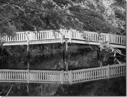 Bridge at Myrtles