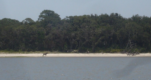 [DSC067281280x6782.jpg]