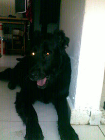08092009015.jpg