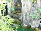 CIMG0052.jpg
