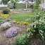 sonny's Circle garden