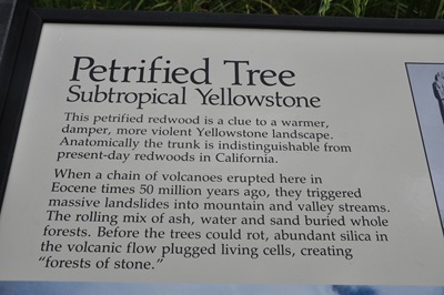 [Yellowstone20090963.jpg]