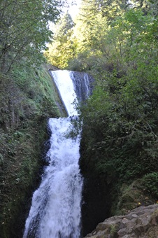 [Oregon Water Falls 103[3].jpg]