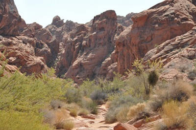 [Valley of Fire State Park, NV 089[3].jpg]