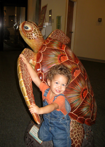 [Linked Image from lh6.ggpht.com]