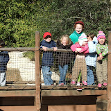 Zoo & Hawk 009.jpg