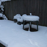 Feb 13 2010 014.jpg