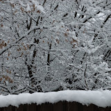 Feb 13 2010 055.jpg