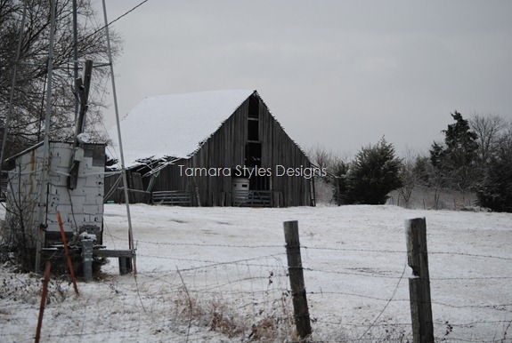 DSC_0561 DSC_0561