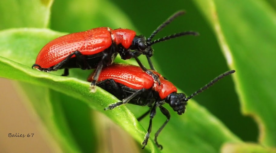 Fun & Info @ Keralites.net