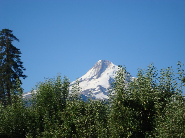 [DSC029172.jpg]