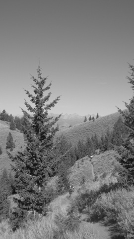 [Copy of IMG_8600[10].jpg]