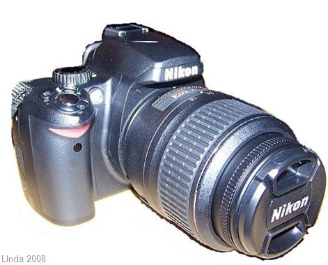 [My Nikon[8].jpg]