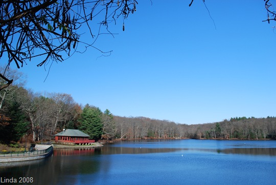 [Vines and Spaulding Pond[8].jpg]