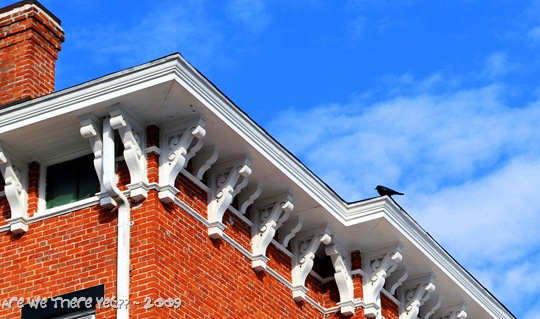 [Blackbird Sitting on a Brick House[13].jpg]