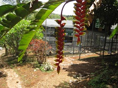 IMG_2275 IMG_2275