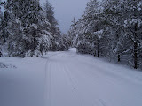 Picture 037.jpg