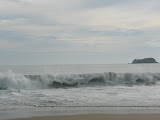 P1000127.JPG