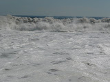 P1000224.JPG