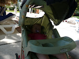 P1000246.JPG