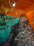 DSC01620.JPG