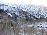 Utah 07 029.jpg