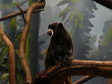 P1000637.jpg