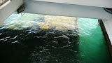 P1010337.JPG
