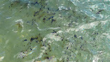 P1010350.JPG