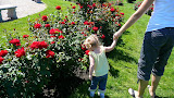 P1010601.JPG