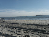 IMG00012-20090118-1408.jpg
