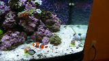 09_14_2009 177.JPG