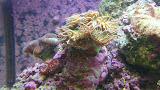 P1050424.JPG
