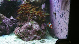 P1050434.JPG