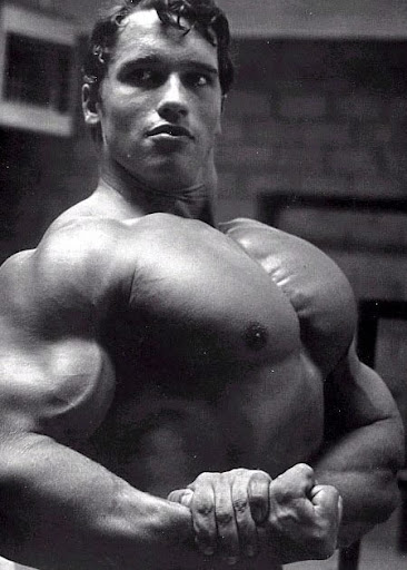 arnold. arnold schwarzenegger