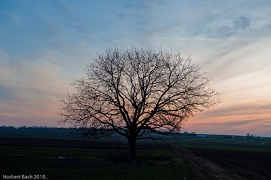 [2010-03-10---07-06---20100310070620029[2].jpg]