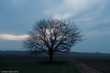 [2010-03-11---06-52---20100311065257036[2].jpg]