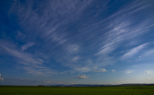 [20090518182120012___Vorderpfalz[4].jpg]