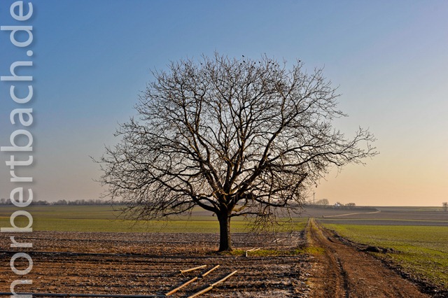 [2011-01-29--09-32___20110129093305008[6].jpg]