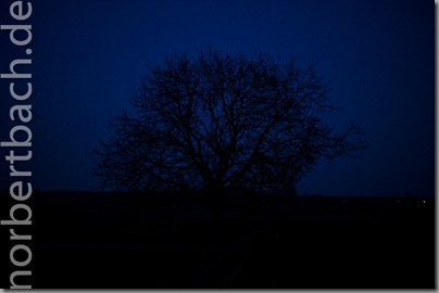 2011-02-08---18-05---20110208180549381