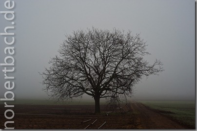 2011-02-10---07-52---20110210075218405