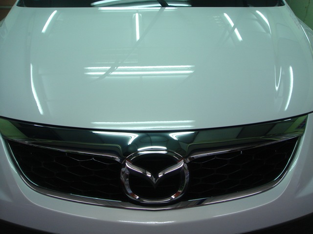 [DSC06544[2].jpg]