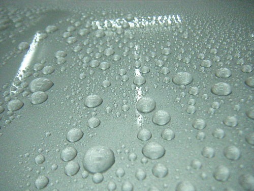 [ap_F23_20090114032236138[2].jpg]